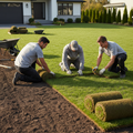 Landscaping crew laying fresh green sod rolls on prepared soil